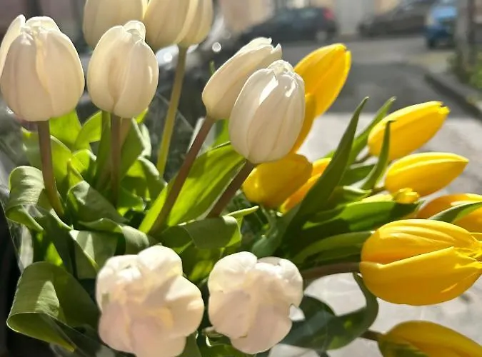 Casa Verga Bed & Breakfast